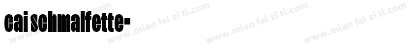 cai schmalfette字体转换